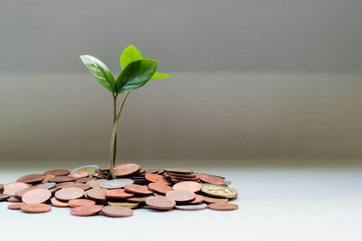 A small plant growing among coins
